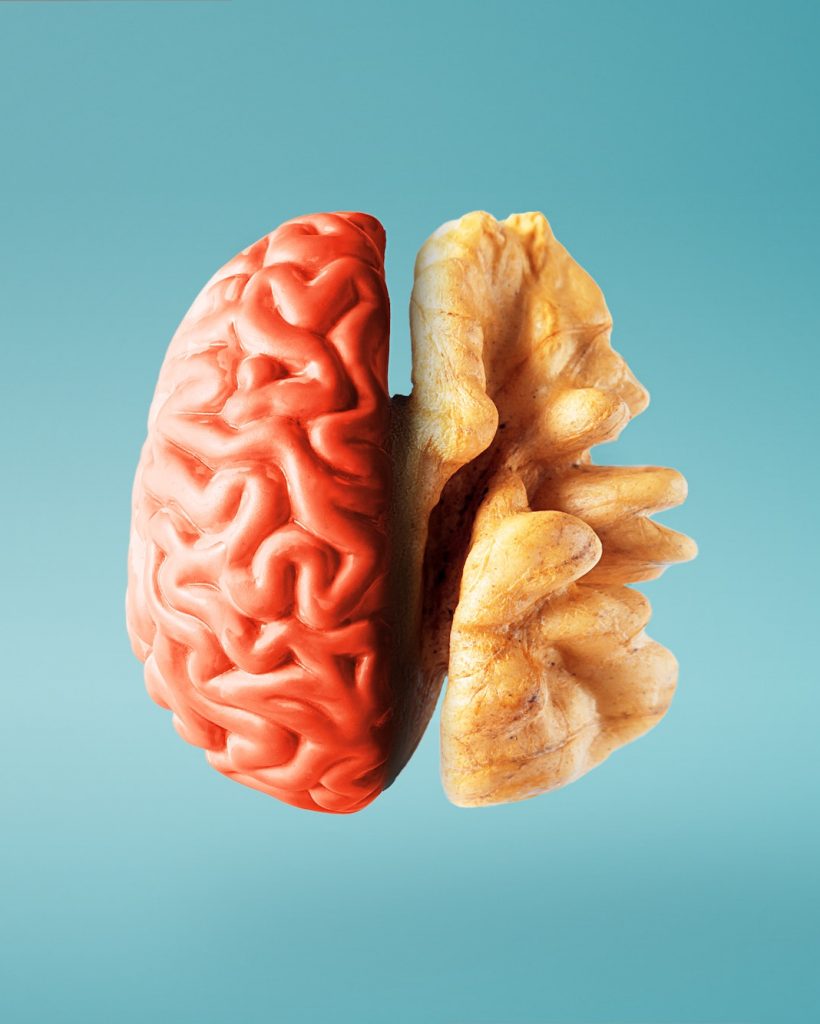 Creative concept of a healthy brain on a blue background. Close-up.